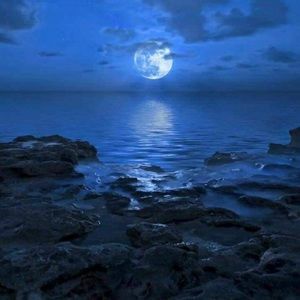 Meet your Posher, Lorinda